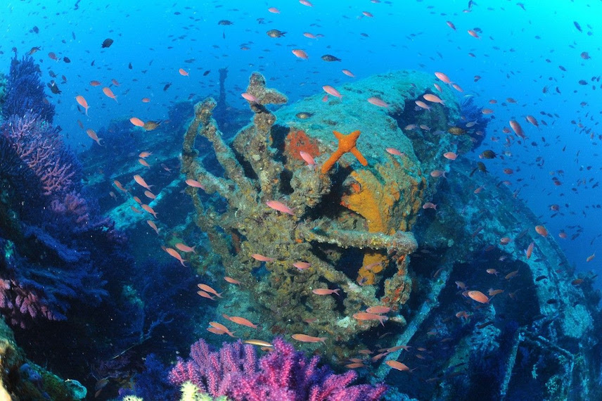 Vie sous-marine sur l'île des Embiez