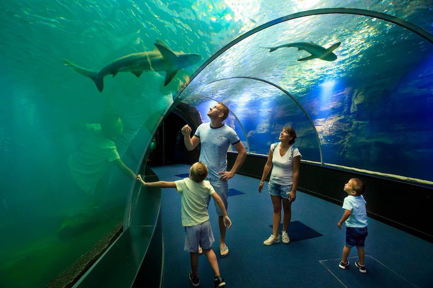 Famille en train de visiter l'aquarium de Nausicàa