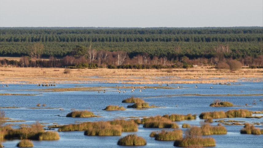 Réserve naturelle de l'étang de Cousseau