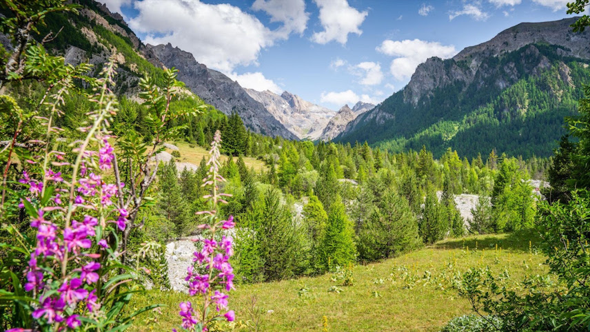 Réserve naturelle du Val d'Escreins