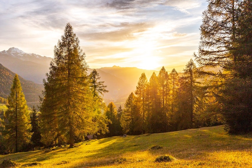 Forêt française en automne